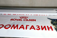 банер для Royal Canin