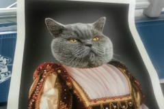 дизайн кота картина 