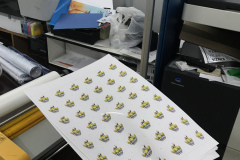 udua5405